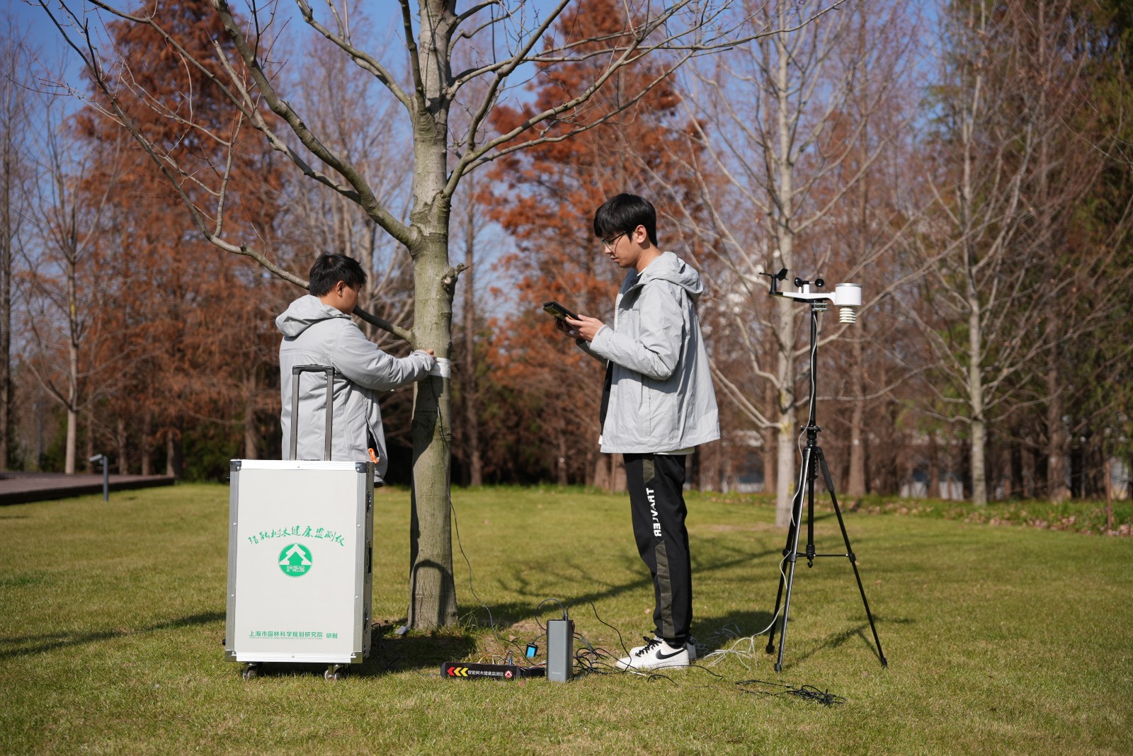智能树木健康监测仪使用场景-2.JPG 智能树木健康监测仪使用场景-2.JPG