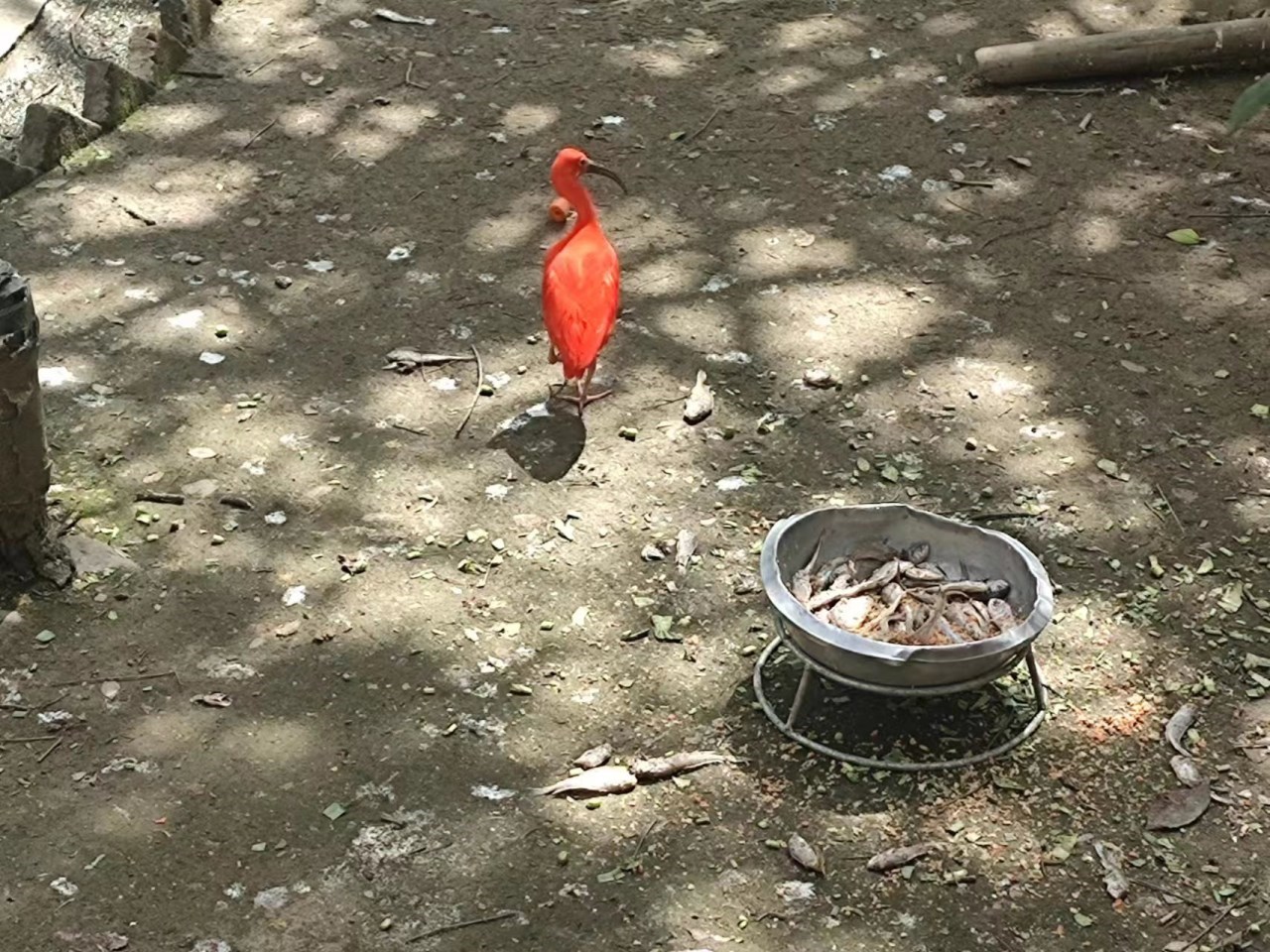 微信图片_20230331132214.jpg 微信图片_20230331132214.jpg