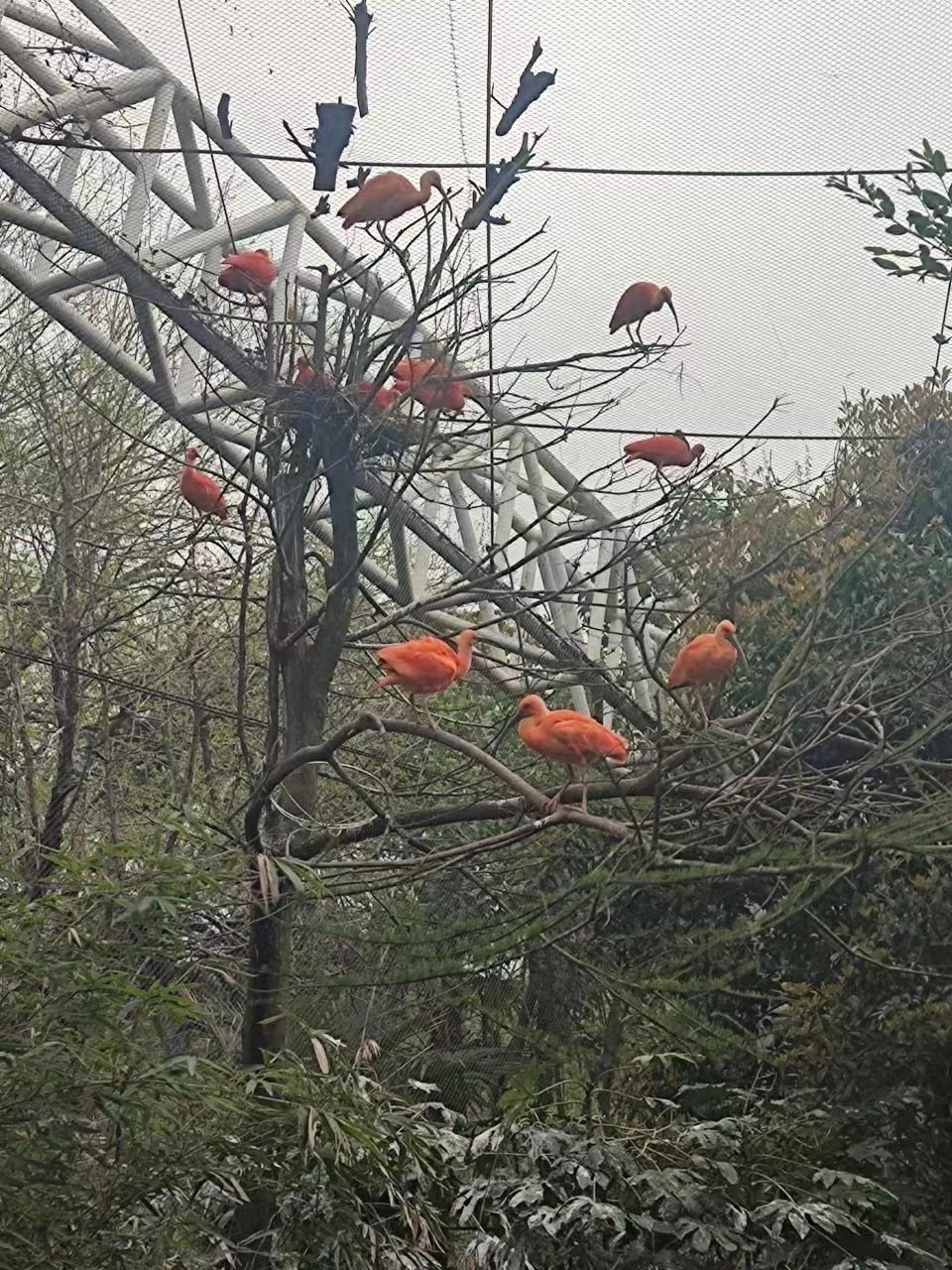 微信图片_20230331132205.jpg 微信图片_20230331132205.jpg